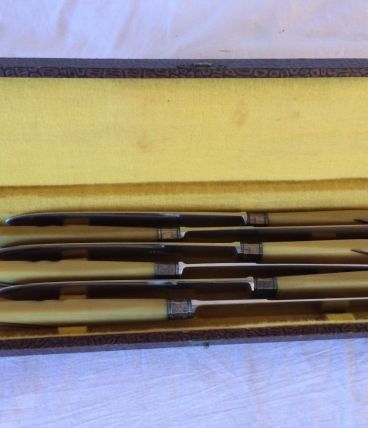 coffret de 6 couteaux de table Art Déco