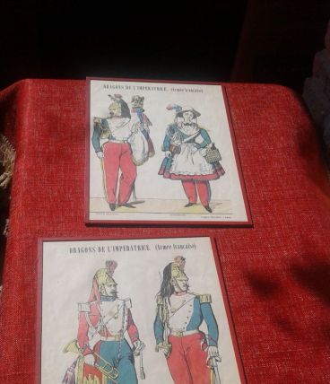 DRAGONS DE L IMPERATRICE.