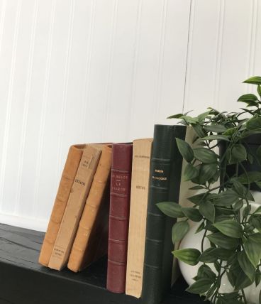 Ensemble de 6 livres anciens pour déco