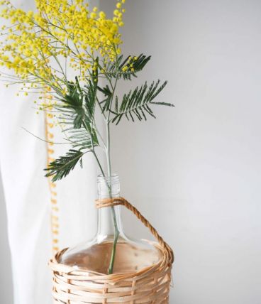 Dame Jeanne paillée