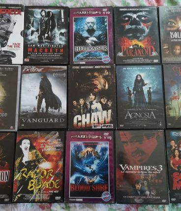 LOT de 15 DVD Films d'Horreur dont rares
