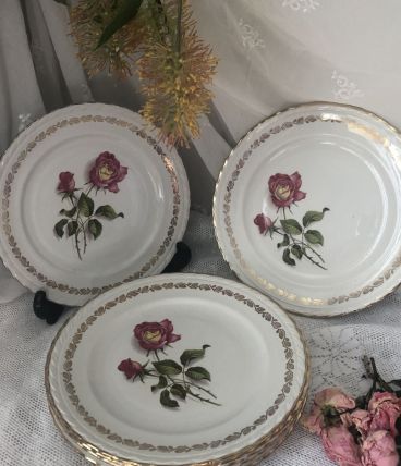 6 assiettes plates l'Amandinoise