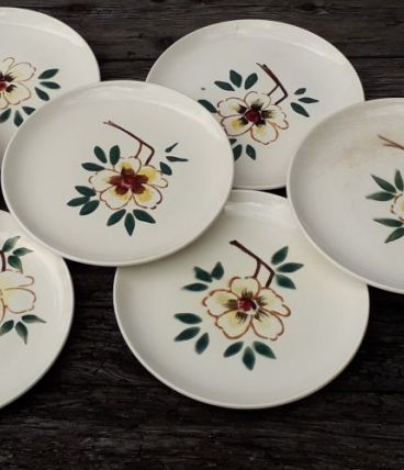 10 assiettes à dessert ceranord