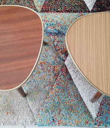 Duo de porte plante formica