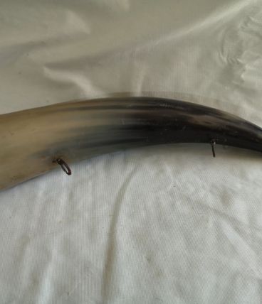 grand corne de berger de montagne 