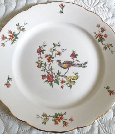 lot 12 assiettes plates digoin