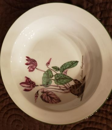 8 assiettes creuses porcelaine Seltmann Weiden Bavière