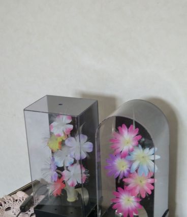 Deux décorations lumineuses Changement instantané de couleur