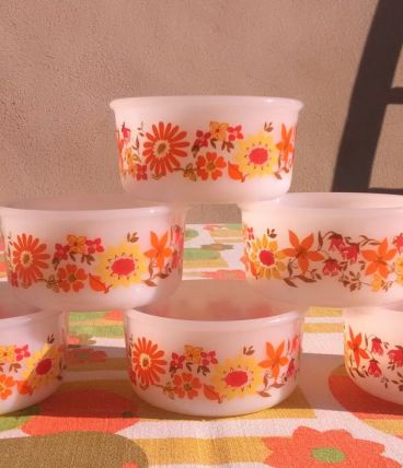 6 ramequins Arcopal (Années 70)