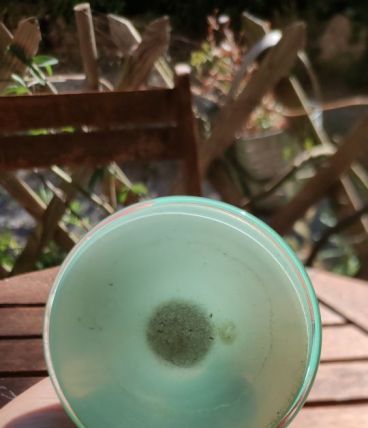 Soliflore en opaline vert d eau 