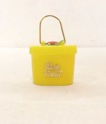 Chapeau pour la pluie rare petite boite house pour pluie 