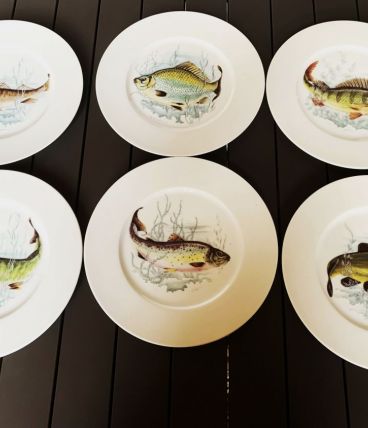 6 assiettes à poisson en porcelaine de Bavière Winterling