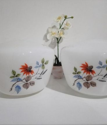 Lot de 2 globes opalines de suspension, luminaire vintage