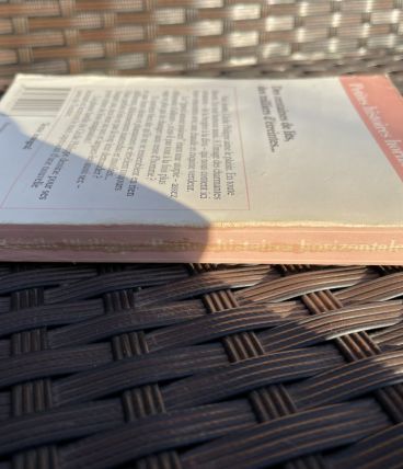 Petites histoires horizontales de Philippe Cecile