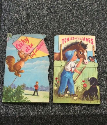 Lot 2 livres anciens pour enfants 