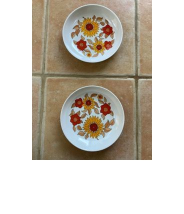 ASSIETTES CREUSES MELAMINE TEFAL ANNEES 70