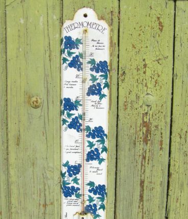 Thermomètre à décor de grappes de raisins