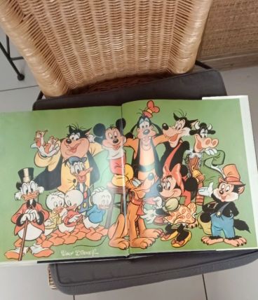 Livre Mickey 