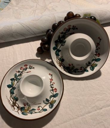 2 coquetier villeroy et boch botanica 