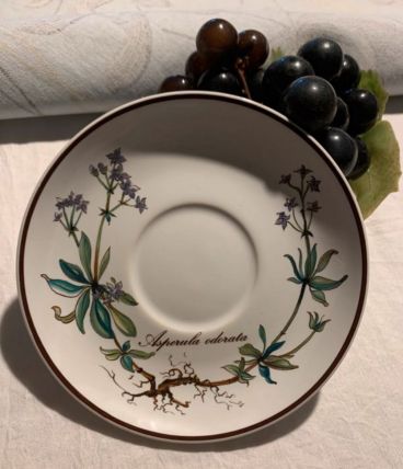 Sous tasse à café villeroy et Boch botanica 