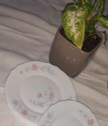 9Assiettes a dessert Arcopal France Pois de senteur