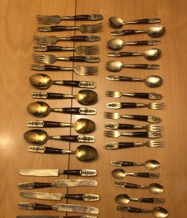 Ménagère asiatique
