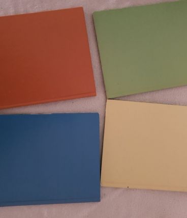 4 livres Scamp club du livre Disney 