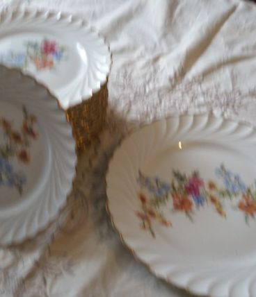 Service a dessert 14 pieces HAVILAND Limoges 1plat   12assie