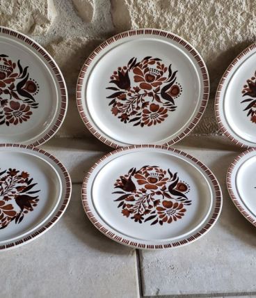 6 grandes assiettes à fleurs tons marron