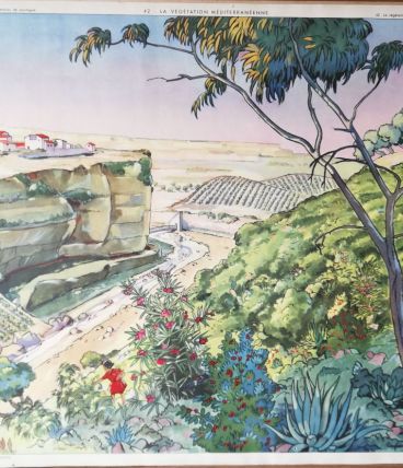 Affiche scolaire géographie