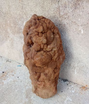 concretion appelée gogotte