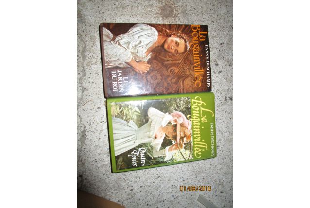lots deux livres de Fanny Deschamps