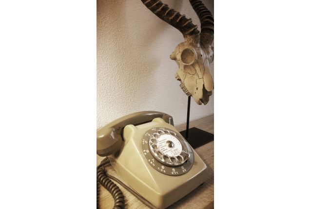 Téléphone à cadran vintage de 1983
