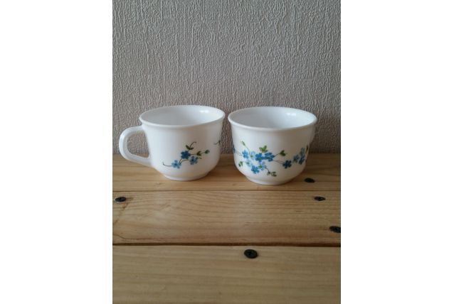 2 tasses arcopal myosotis