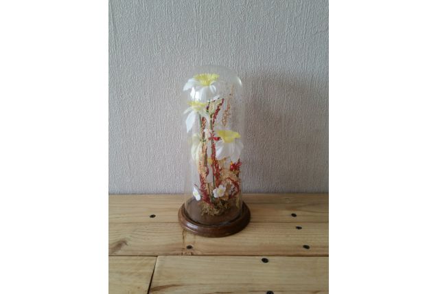 Cloche en verre 
