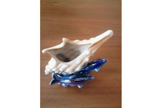 Coquillage décoratif