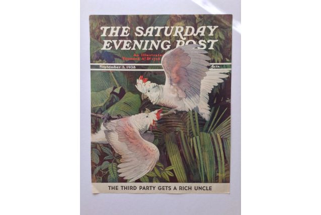 Perroquets - The Saturday Evening Post - Cover - September 3, 1938