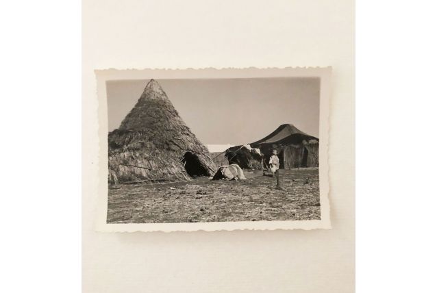 Photo vintage Maroc scène rurale années 40