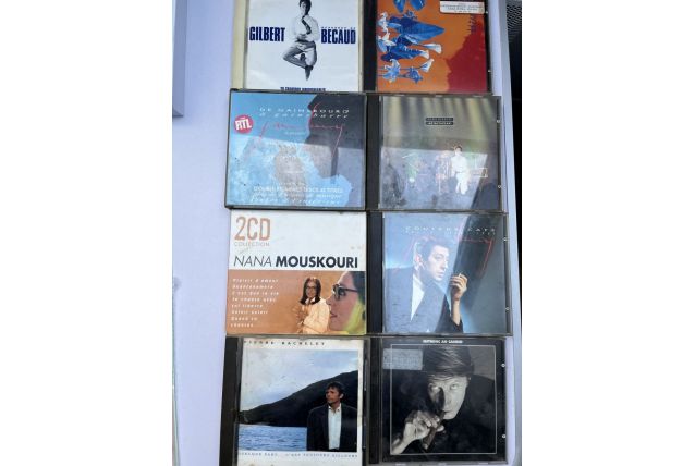 Lot de 10 CDs variétés francaises