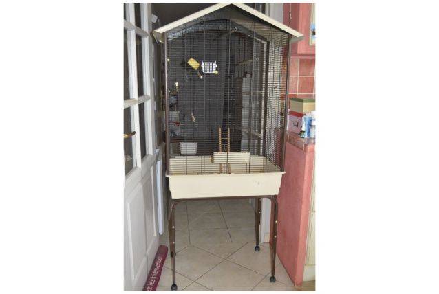 vente cage oiseaux