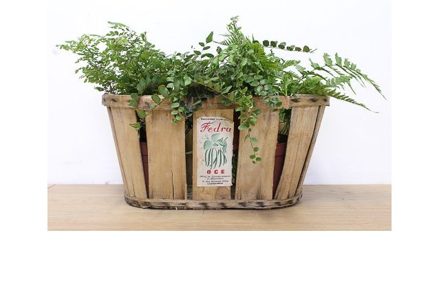 Cagette en bois BASSET