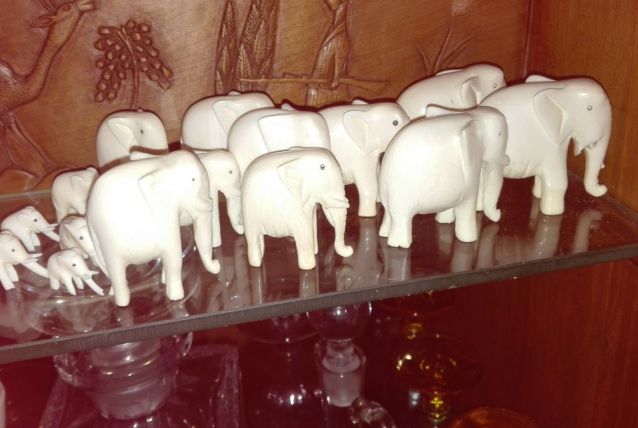 elephant en ivoire 1950