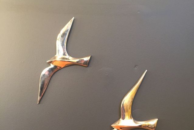 Hirondelles murales argentées