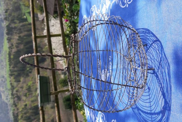 Panier à oeufs ou à salade