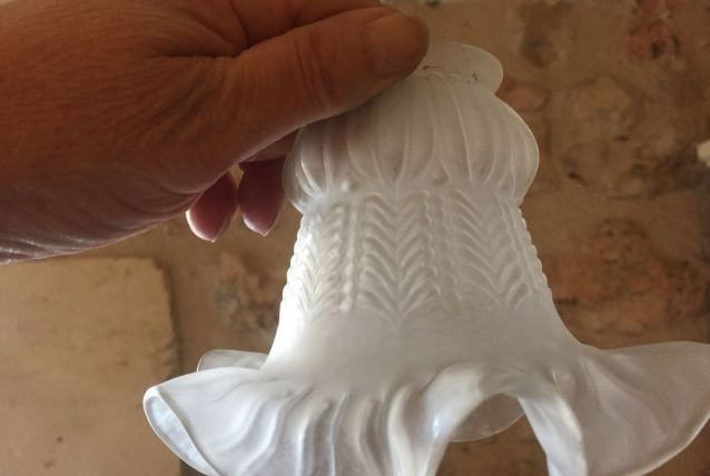 très joli globe tulipe