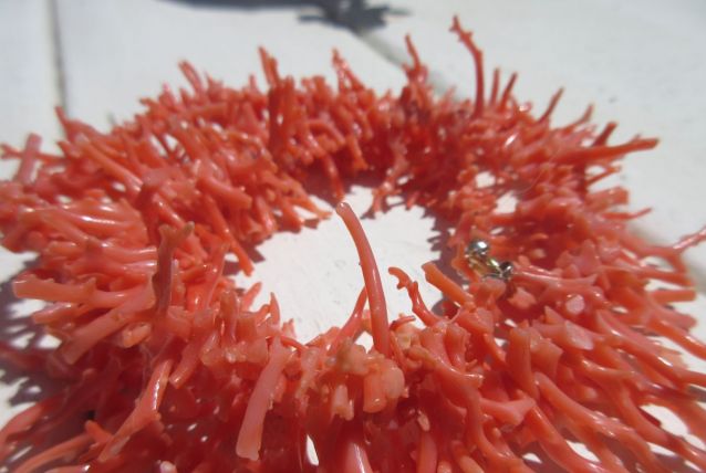 Colliers de Corail