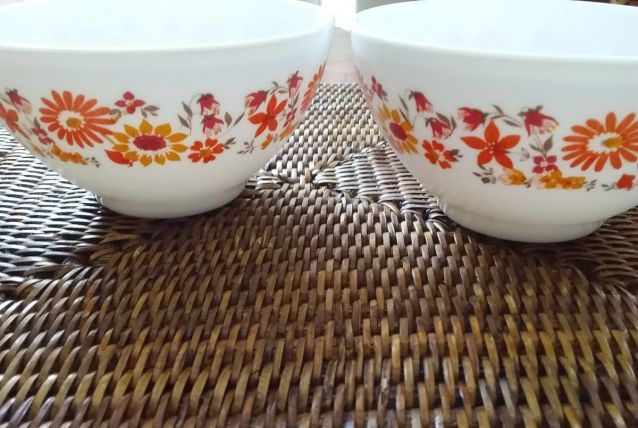 2 bols Arcopal couleurs années 70