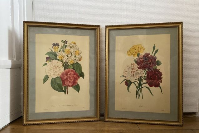 Gravures de Pierre-Joseph Redouté