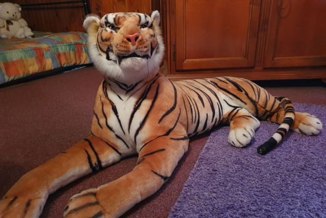 Tigre peluche