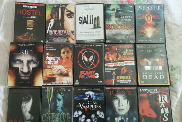 LOT de 15 DVD Films d'Horreur dont rares